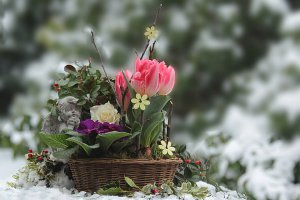 BLOG - ZAKŁADANIE OGRODÓW - Kilka sprawdzonych sposobów na ogród dekoracyjny zimą.1