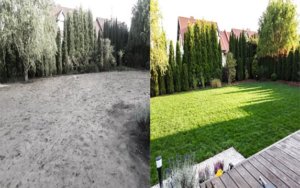 Zakładanie trawnika Poznań