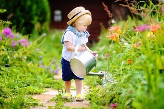 Blog - PIELĘGNACJA OGRODÓW- Jak przygotować ogród na wiosnę?