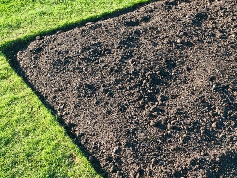 Gleba w ogrodzie, jak zadbać o nią naturalnie.