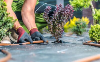 Jakie są rodzaje systemów nawadniających?