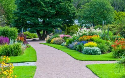 Co się składa na koszty pielęgnacji ogrodu?