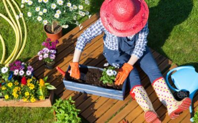 Jak urządzić piękny ogród krok po kroku