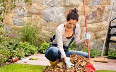 Przygotowanie ogrodu na jesień: Co zrobić, aby utrzymać go w doskonałej formie