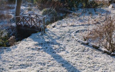 Jak Przygotować Ogród na Zimę: Praktyczne Porady i Zadania