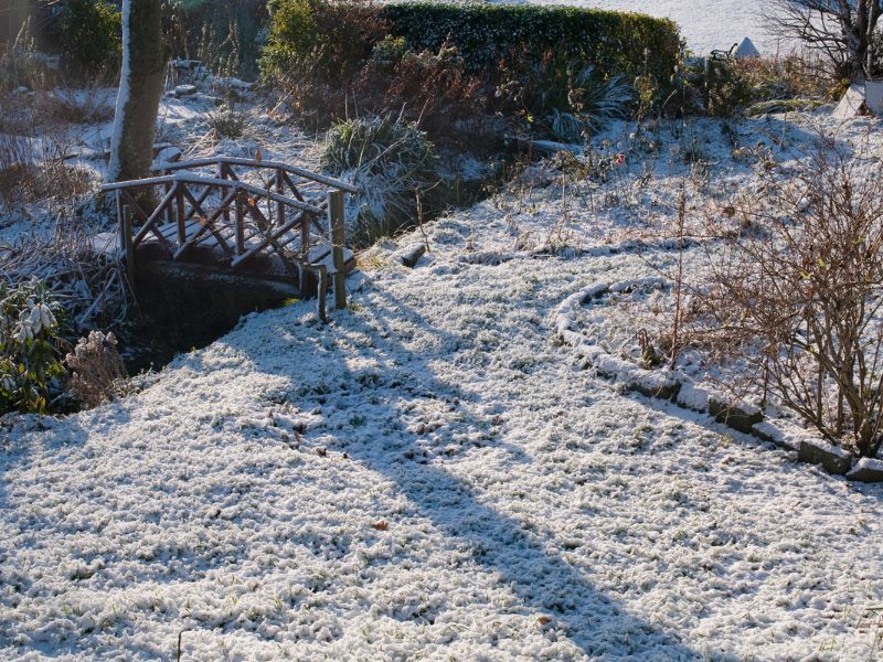 Jak Przygotować Ogród na Zimę: Praktyczne Porady i Zadania