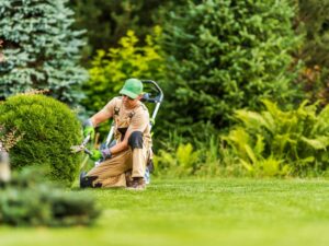 Jakie korzyści płyną z korzystania z profesjonalnych usług ogrodniczych?