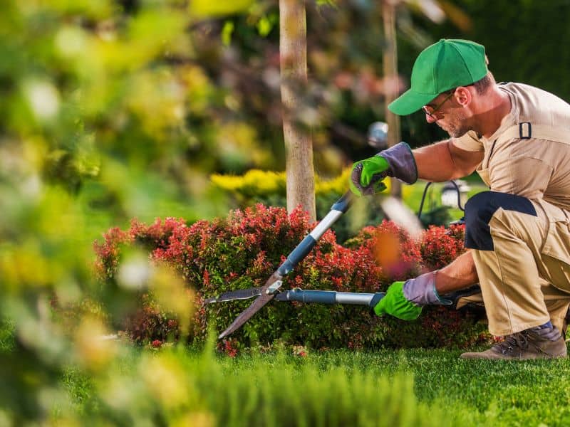 Jakie są najpopularniejsze usługi ogrodnicze i czym się charakteryzują?